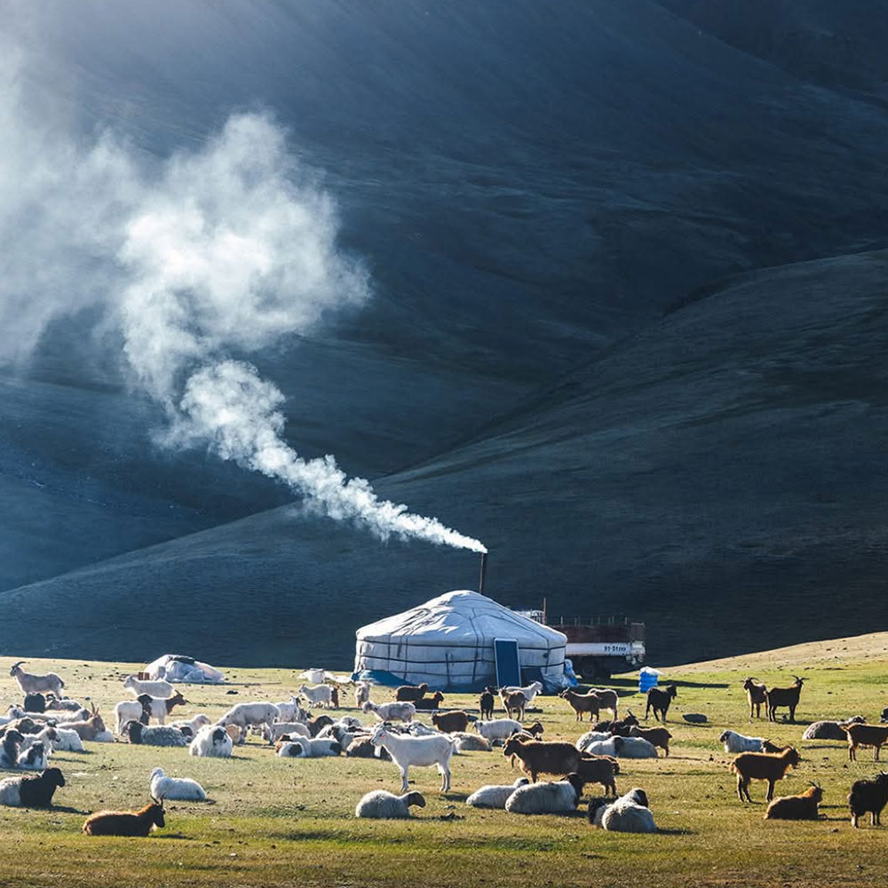 Nomad